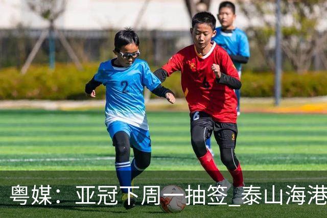 粤媒：亚冠下周一抽签 泰山海港第1档广州第2档